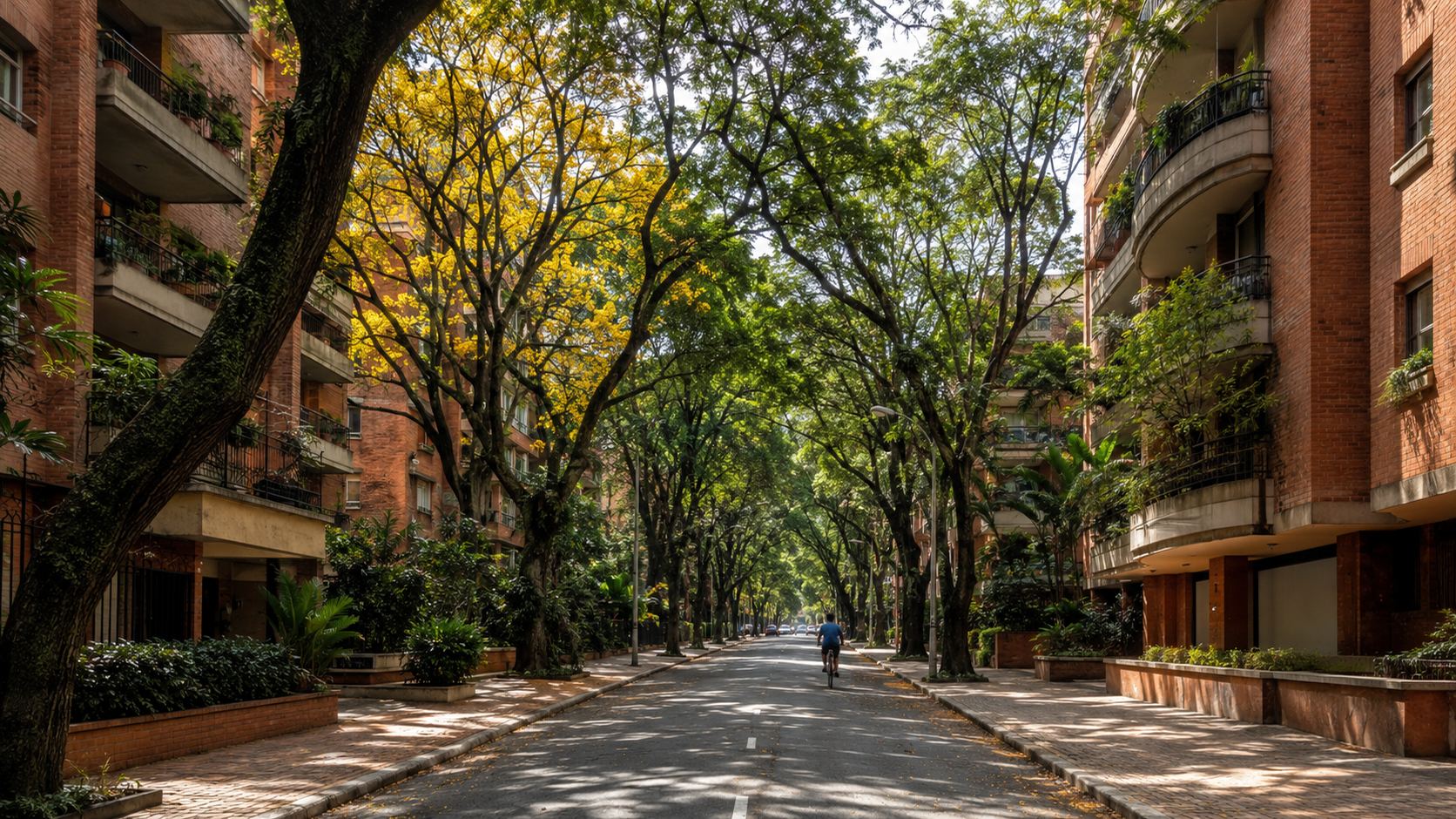 A tree-lined residential street in Laureles, Medellin, with brick apartment buildings on both sides